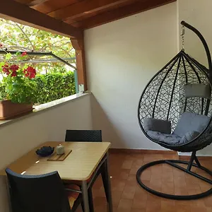 Kiwi Apartment